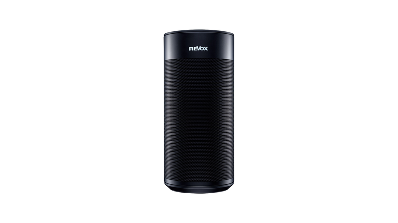 STUDIOART P100 Room Speaker